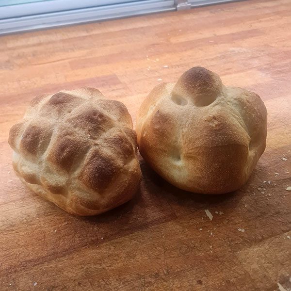 rosette-e-tartarughe